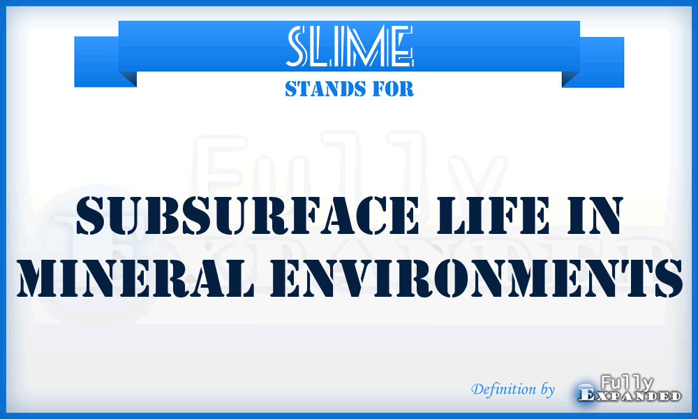 SLIME - Subsurface Life in Mineral Environments