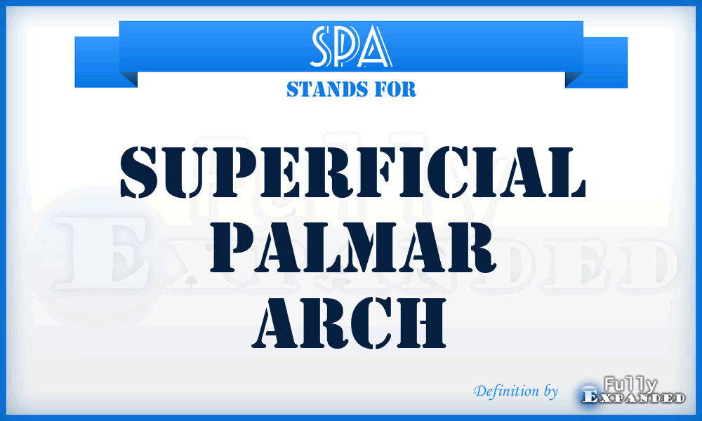SPA - superficial palmar arch