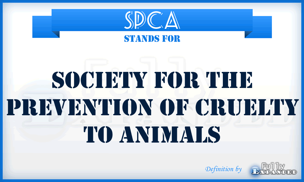 SPCA - Society for the Prevention of Cruelty to Animals