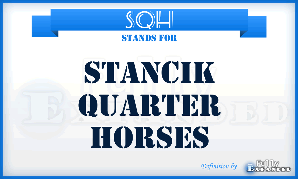 SQH - Stancik Quarter Horses