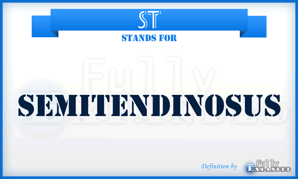 ST - semitendinosus