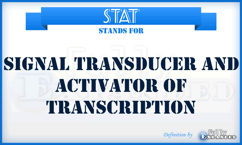 STAT - Signal Transducer And Activator Of Transcription