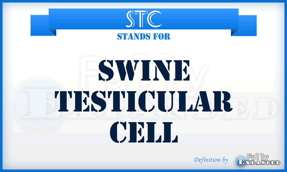 STC - swine testicular cell