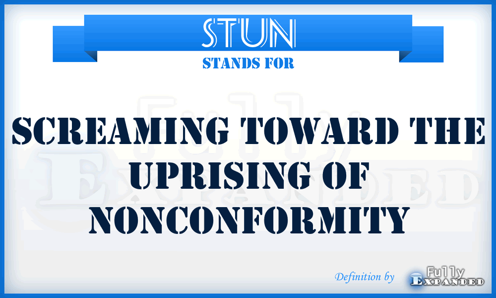 STUN - Screaming Toward The Uprising Of Nonconformity