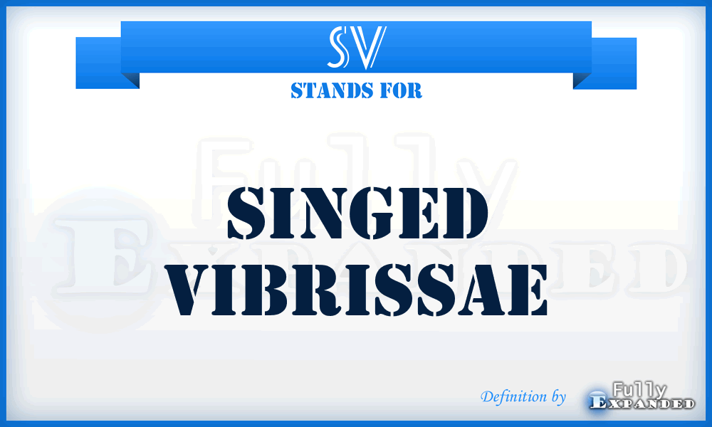 SV - Singed Vibrissae