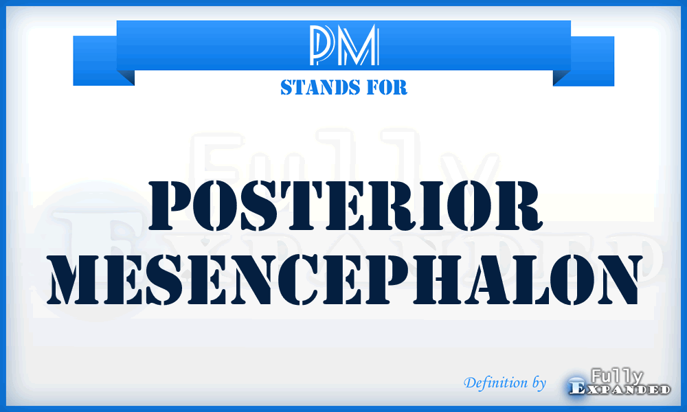 PM - posterior mesencephalon