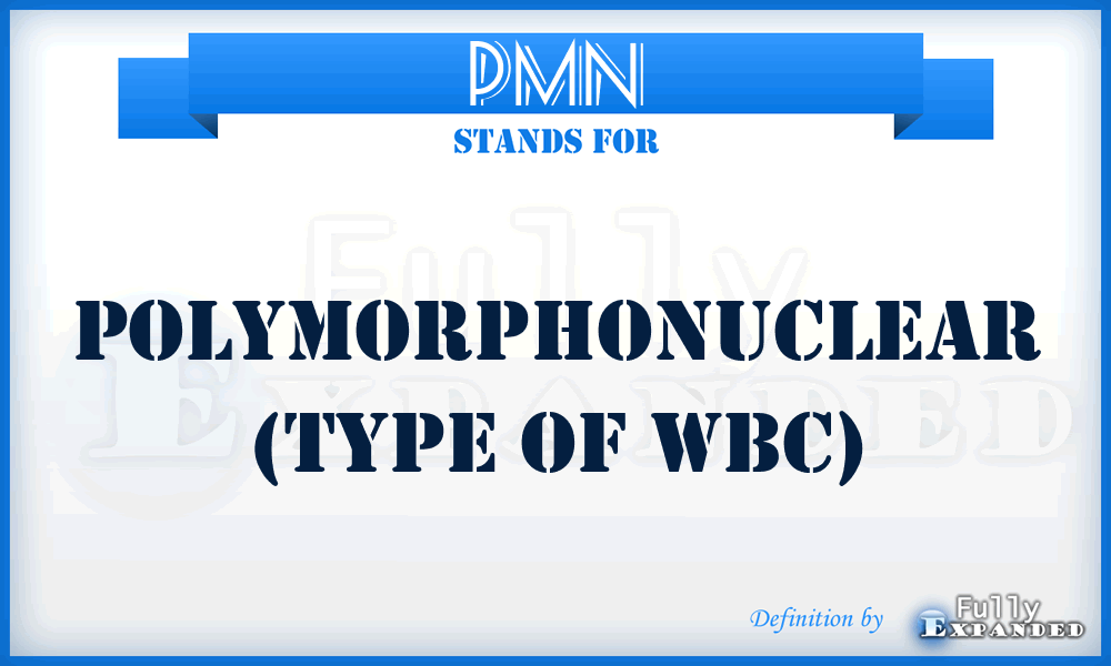 PMN - polymorphonuclear (type of WBC)
