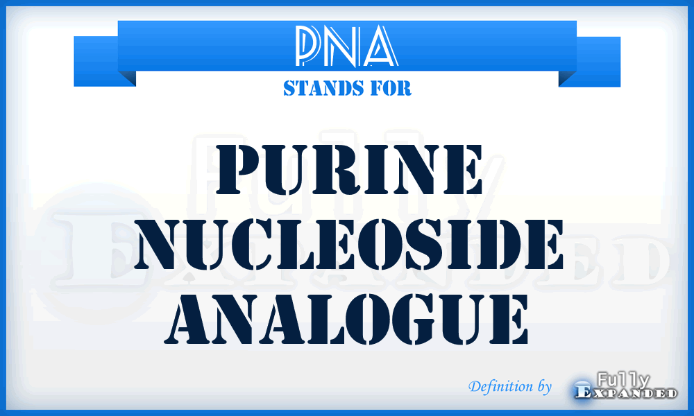 PNA - Purine Nucleoside Analogue