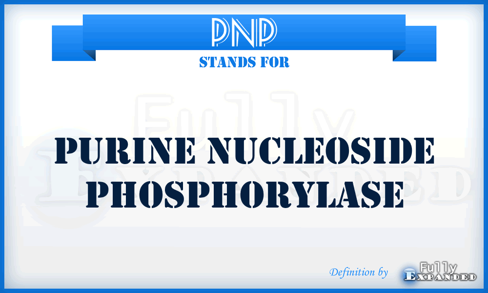 PNP - Purine Nucleoside Phosphorylase