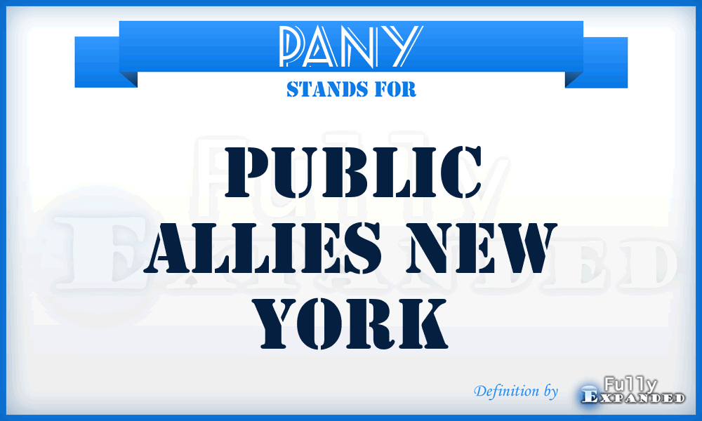 PANY - Public Allies New York