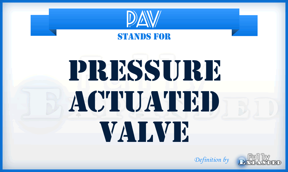 PAV - Pressure Actuated Valve