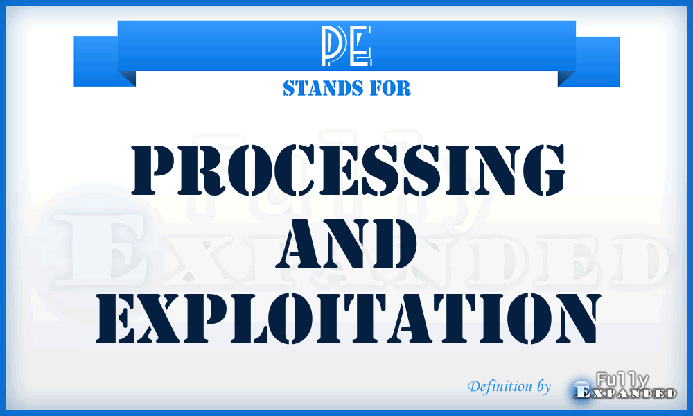 PE - Processing and Exploitation