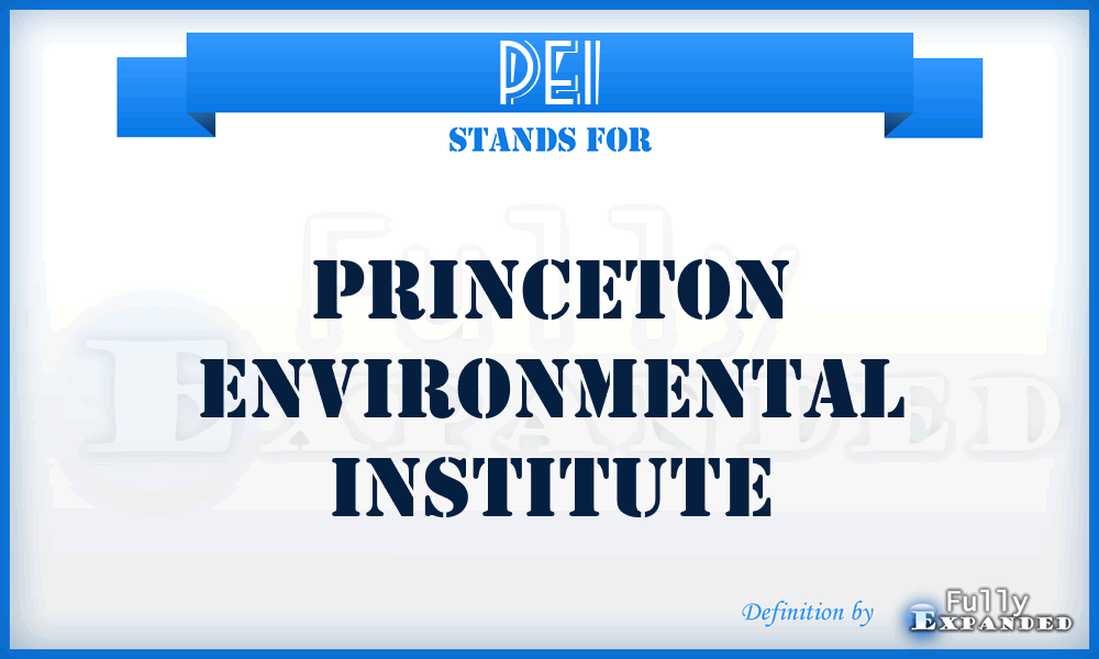 PEI - Princeton Environmental Institute