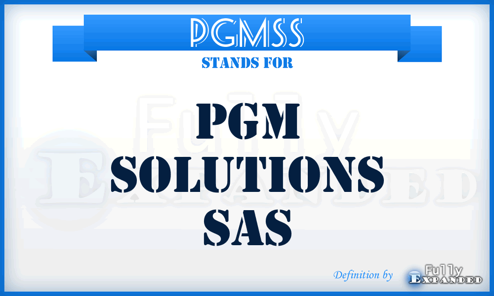 PGMSS - PGM Solutions Sas