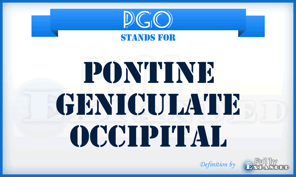 PGO - Pontine Geniculate Occipital