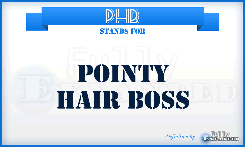 PHB - Pointy Hair Boss