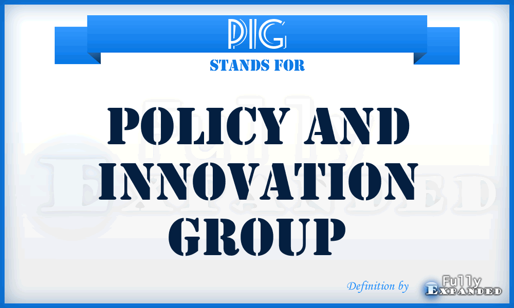 PIG - Policy and Innovation Group