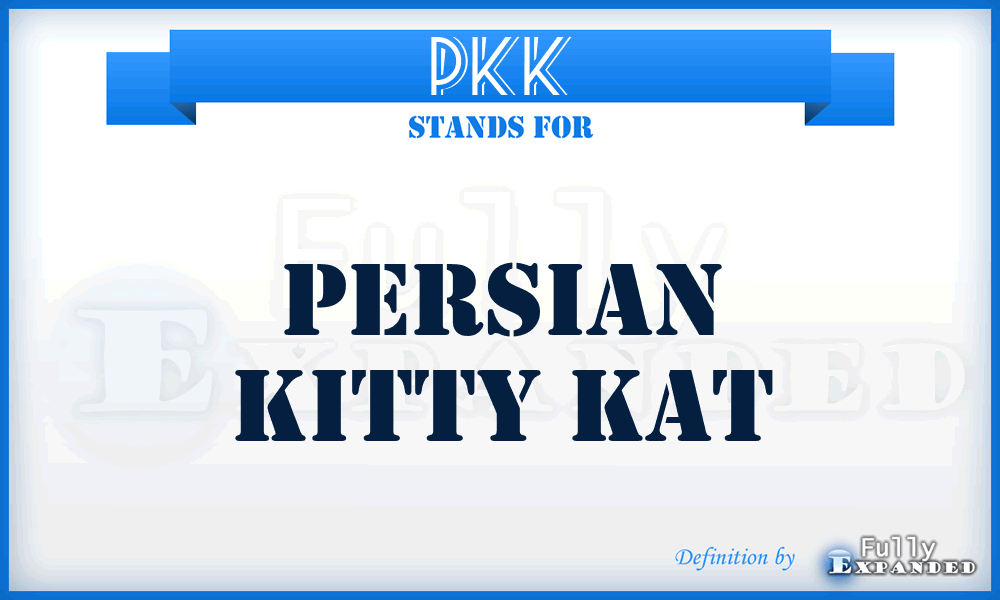 PKK - Persian Kitty Kat