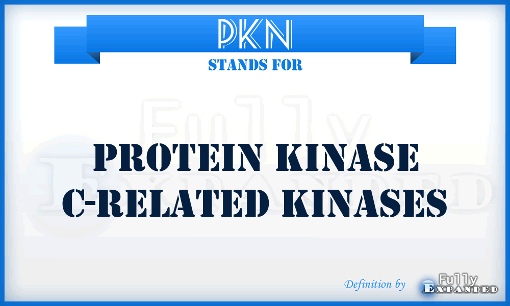 PKN - protein kinase C-related kinases