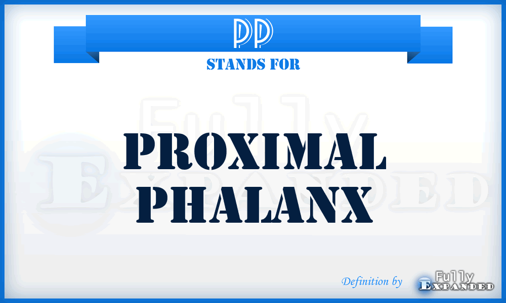 PP - proximal phalanx