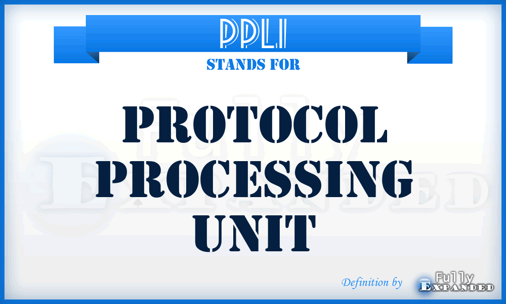 PPLI - Protocol Processing Unit