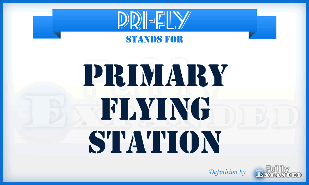 PRI-FLY - Primary Flying station