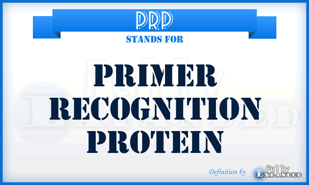 PRP - primer recognition protein