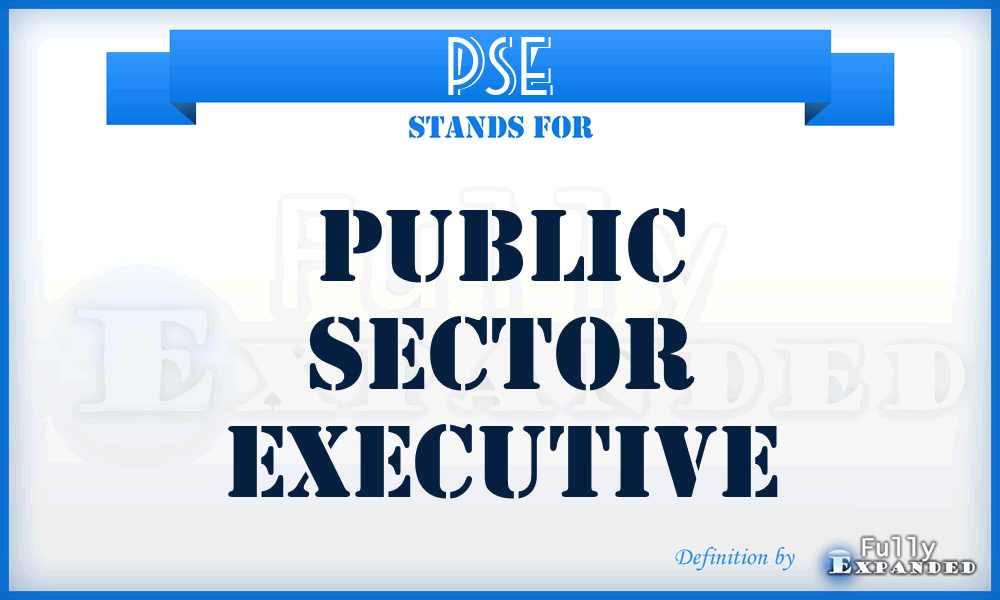 PSE - Public Sector Executive