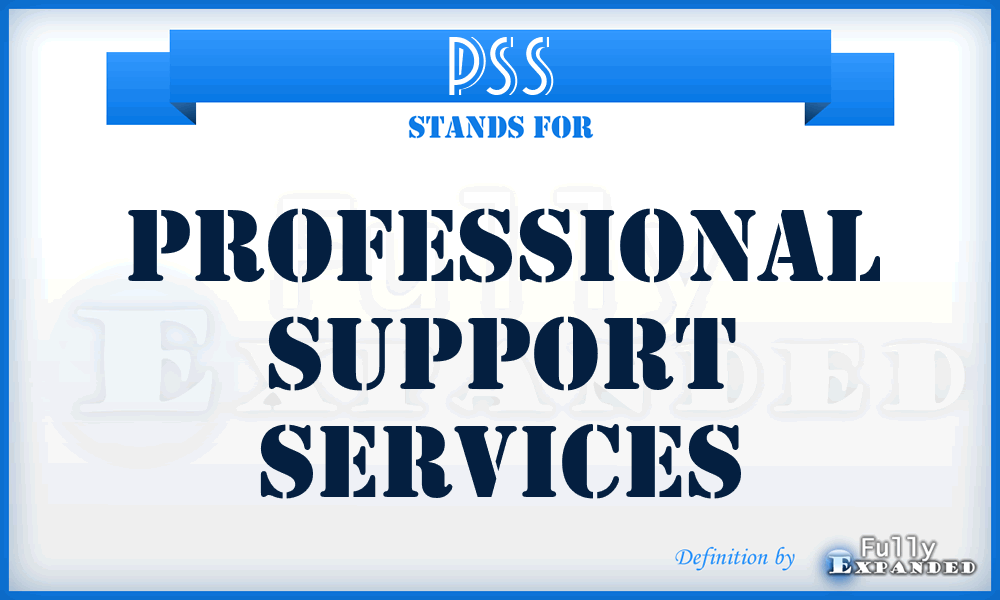 PSS - Professional Support Services