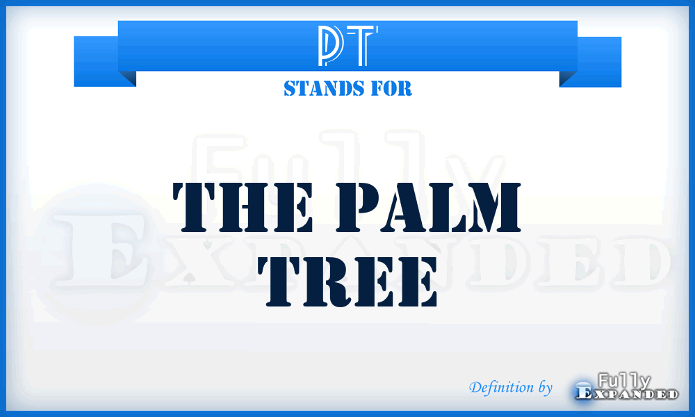 PT - The Palm Tree