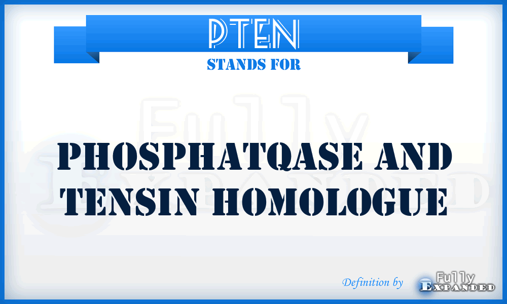 PTEN - phosphatqase and tensin homologue