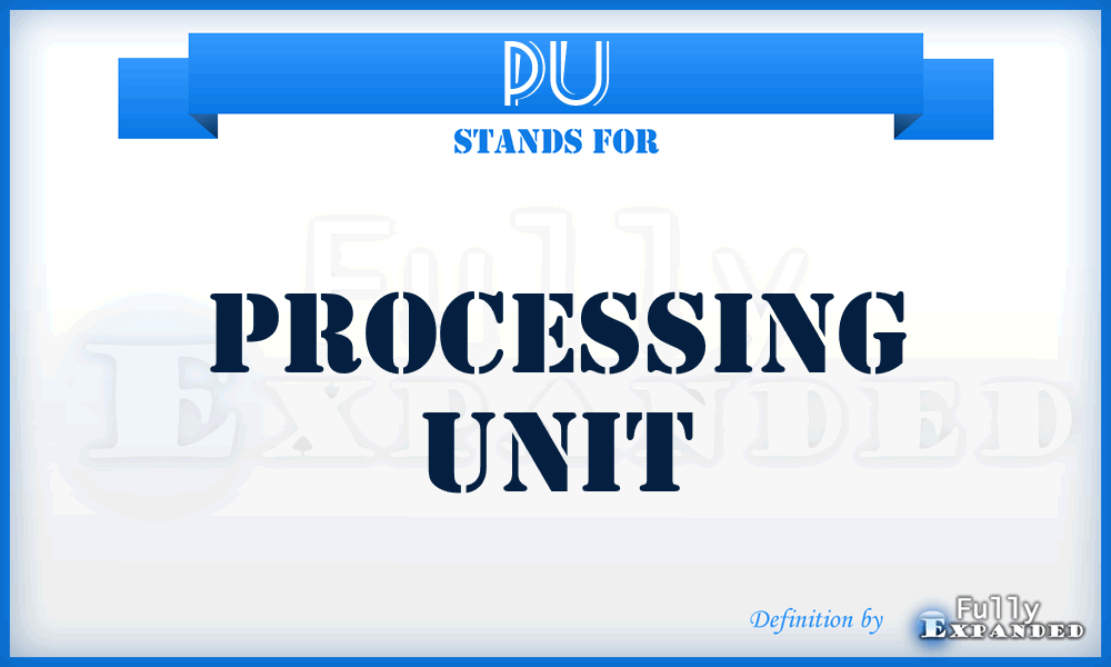 PU - processing unit