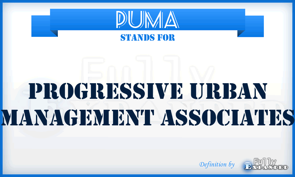 PUMA - Progressive Urban Management Associates