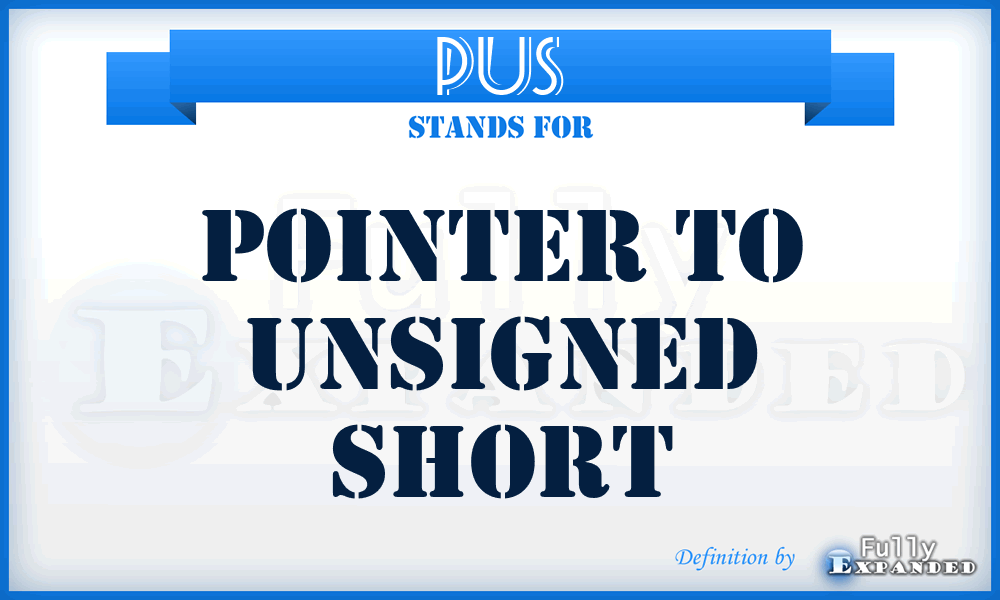 PUS - Pointer To Unsigned Short