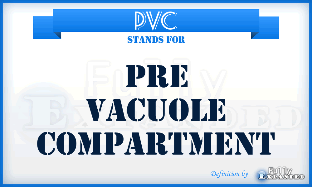 PVC - Pre Vacuole Compartment