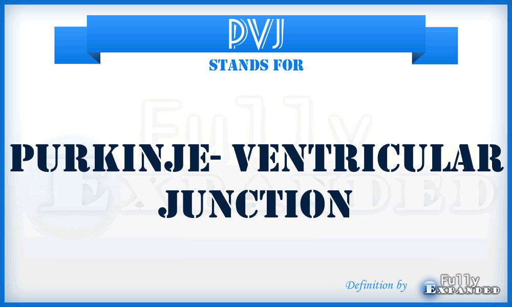 PVJ - Purkinje- Ventricular Junction