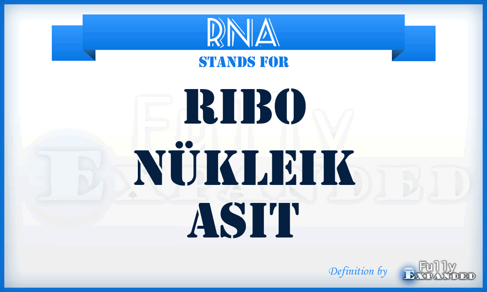 RNA - Ribo NüKleik Asit