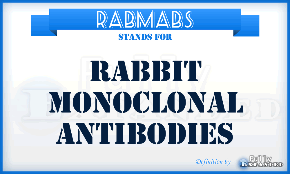 RABMABS - Rabbit Monoclonal Antibodies