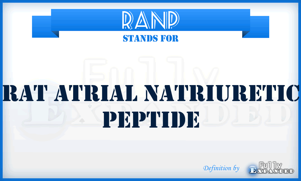 RANP - Rat Atrial Natriuretic Peptide