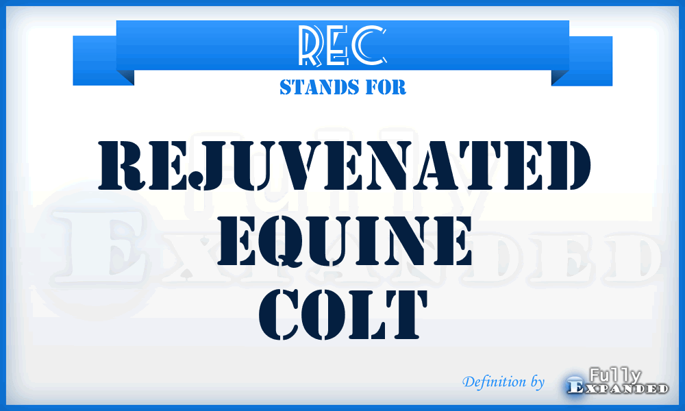 REC - Rejuvenated Equine Colt