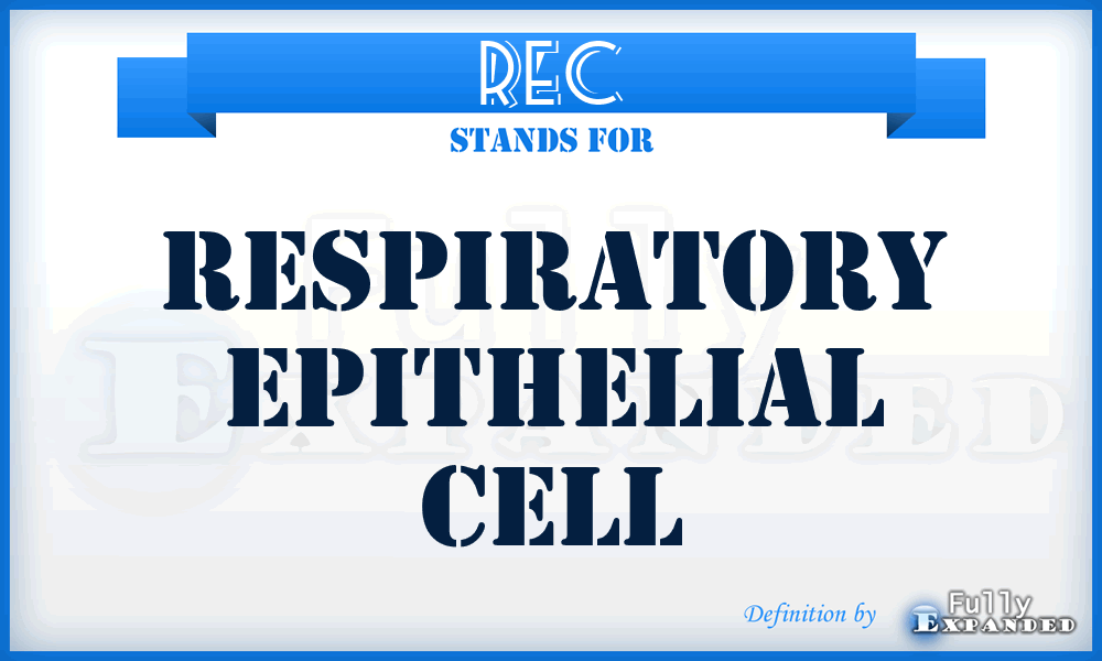 REC - respiratory epithelial cell