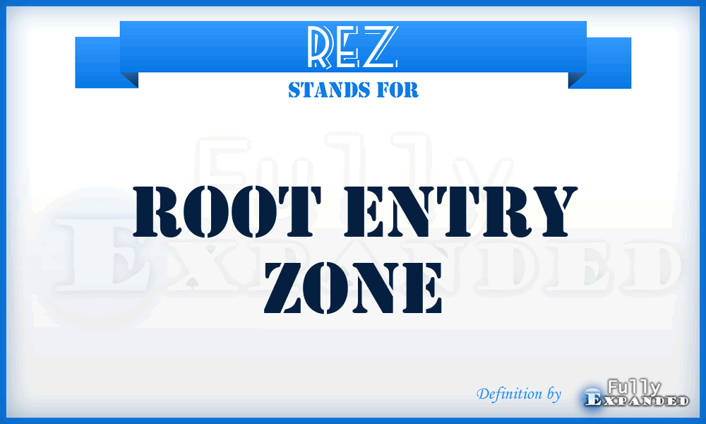 REZ - Root Entry Zone