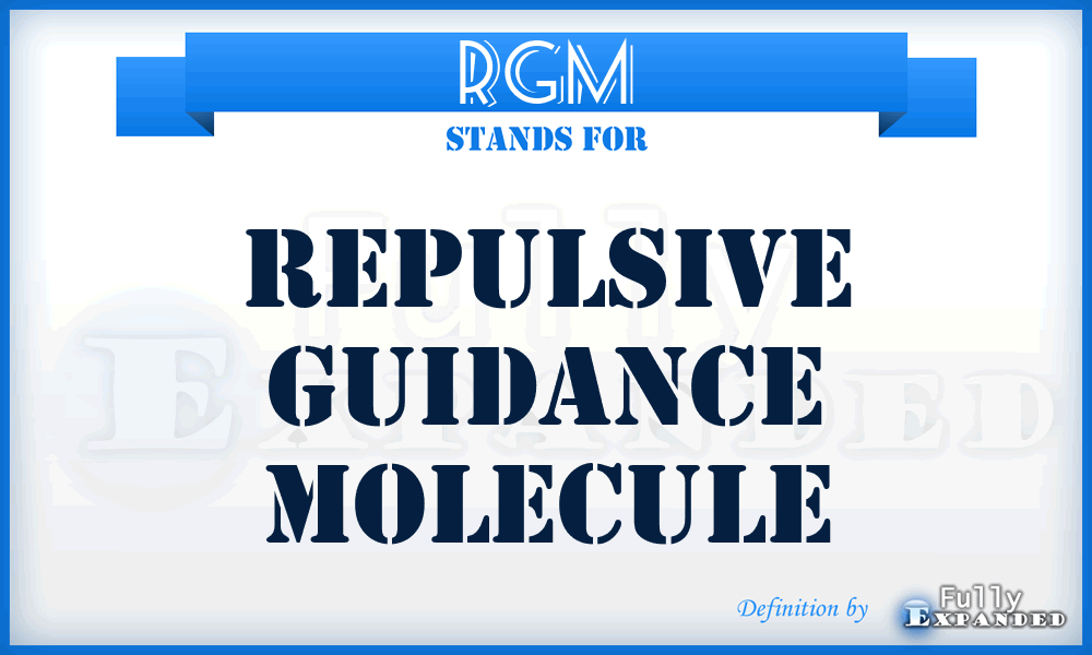 RGM - repulsive guidance molecule