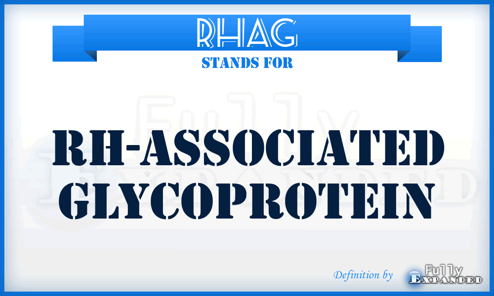 RHAG - Rh-associated glycoprotein