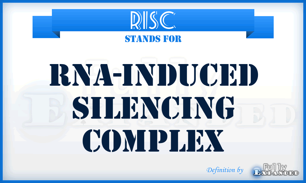 RISC - RNA-Induced Silencing Complex