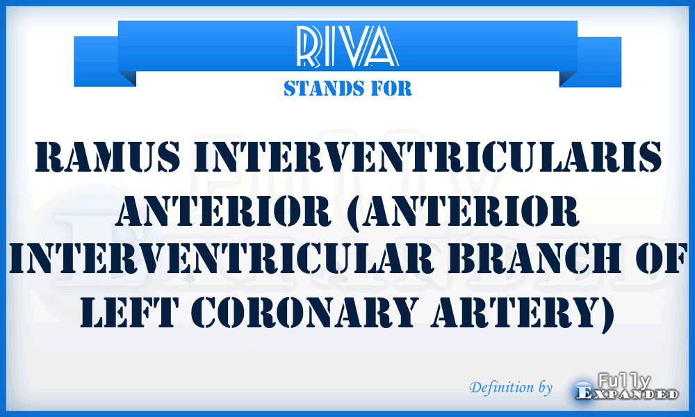 RIVA - Ramus InterVentricularis Anterior (anterior interventricular branch of left coronary artery)