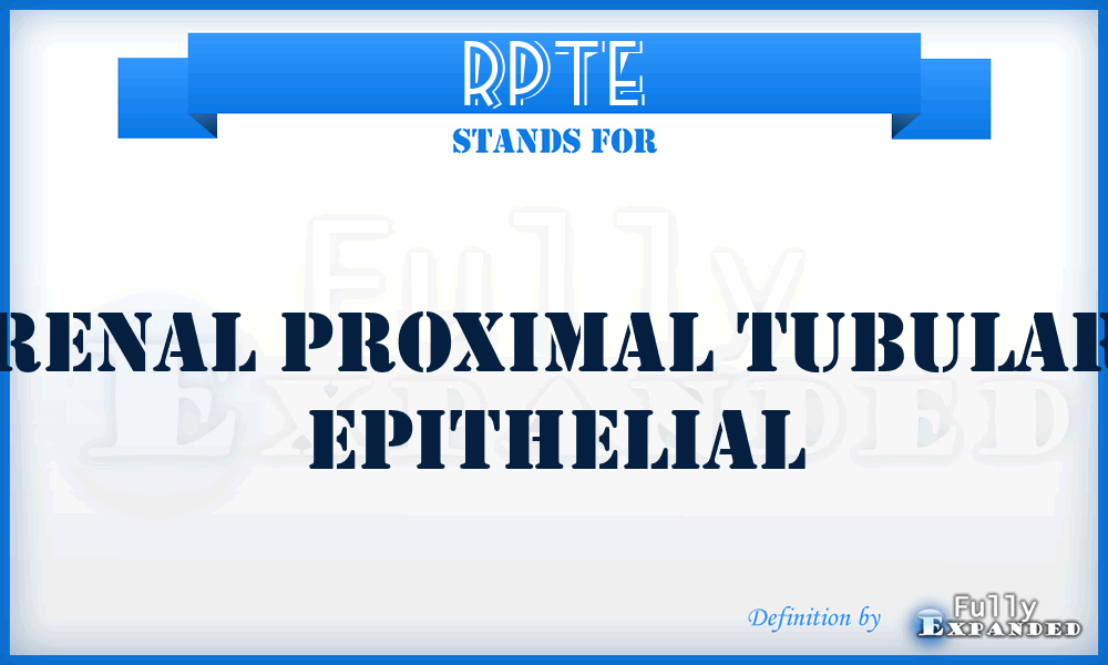 RPTE - Renal Proximal Tubular Epithelial