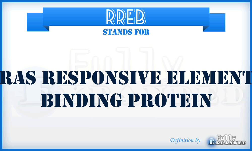 RREB - Ras Responsive Element Binding Protein