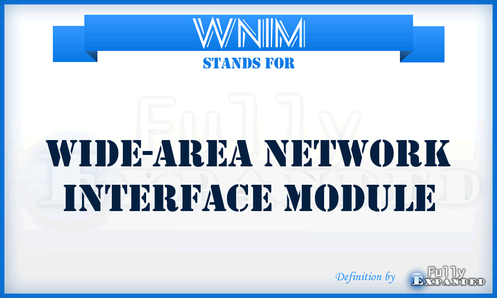 WNIM - wide-area network interface module