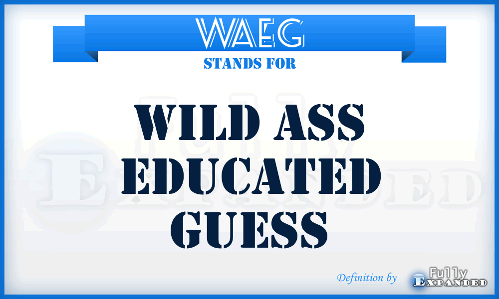 WAEG - Wild Ass Educated Guess